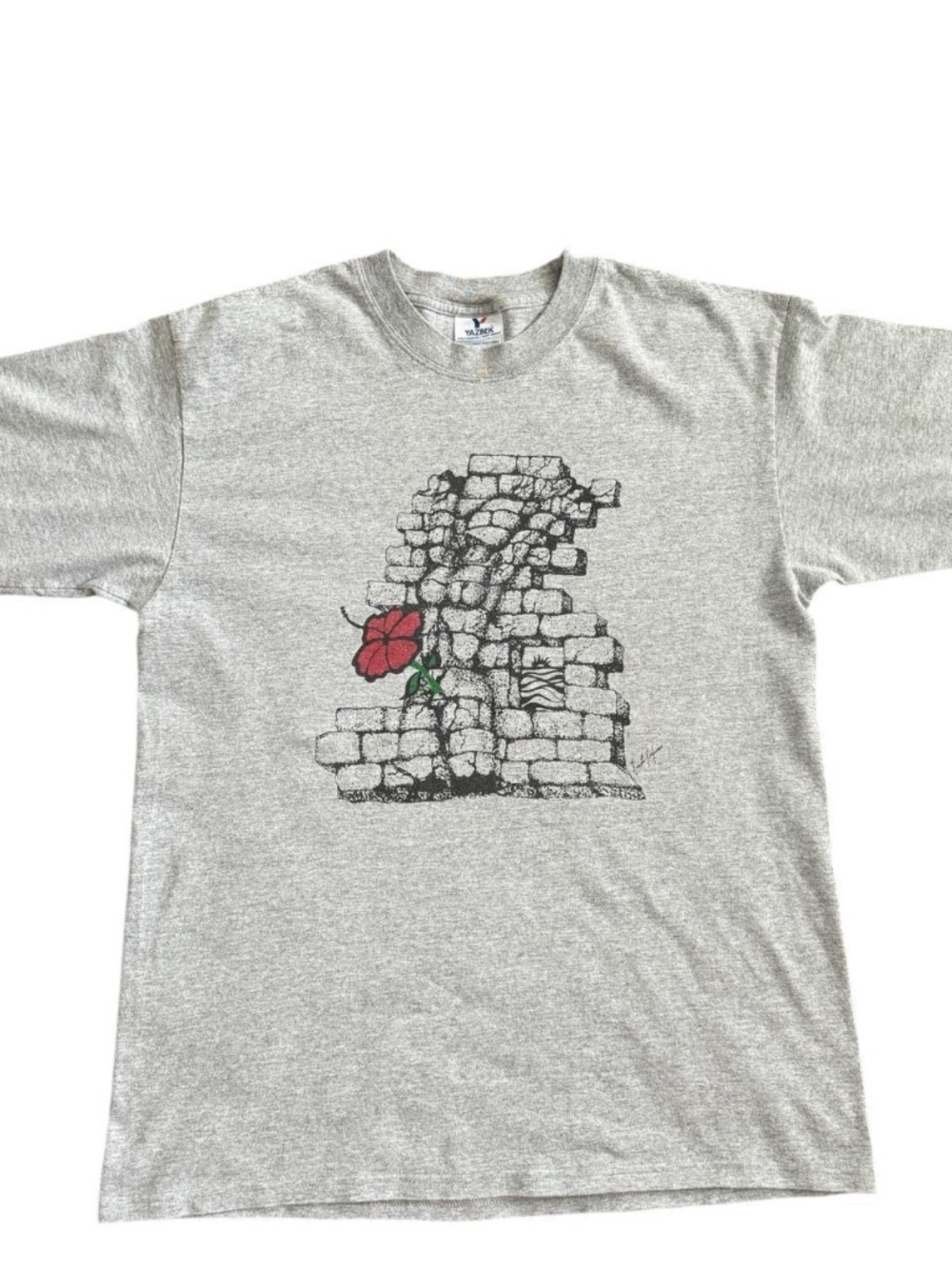 Vintage Y2K Art Tee - Women / Brick Wall / Flower Graphic